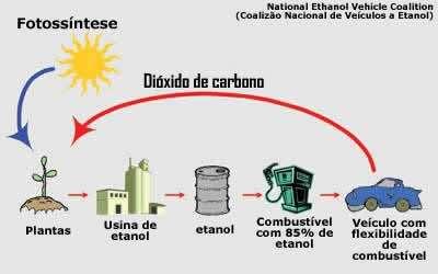 Ciclo do Carbono Ciclo fechado