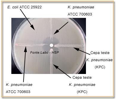 Figura 01: ANVISA. "Nota-se que não há distorção do halo, quando a amostra de Klebsiella pneumoniae ATCC 700603 é semeada.