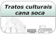 915,24 9,63 Remuneração da terra 31,94 6,55 392,17,78 Àrea própria 31,94 4,95 657,44 2,31 Àrea arrendada 31,94 1,6 1.