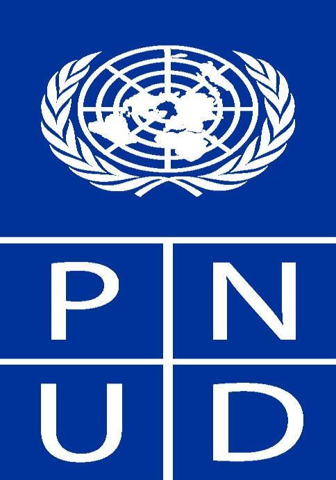 Programa das nações Unidas para o Desenvolvimento (PNUD) Produz estudos e relatórios sobre o desenvolvimento humano e apoia projectos que contribuem para