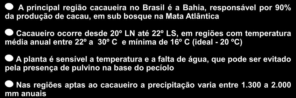 Classificação botânica Sistemática e origem A principal região cacaueira no Brasil é a Bahia, responsável por 90% da produção de cacau, em sub bosque na Mata Atlântica Cacaueiro ocorre desde 20º LN