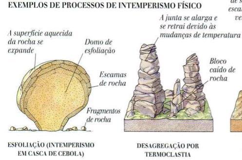 na sua composição.