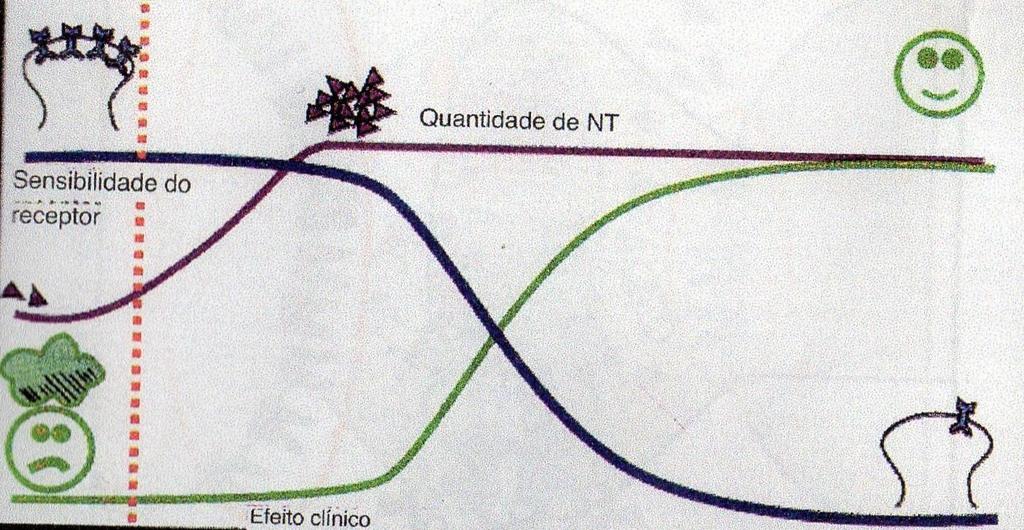 AÇÃO DOS