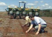 fertilizante em todas linhas diferenças marcantes podem ser: problemas na