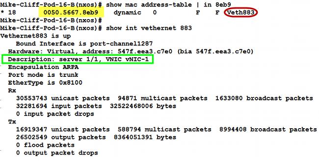 8. Confirme que o MAC address do VM (ciscolive-vm) está aprendido na FIA: 9.