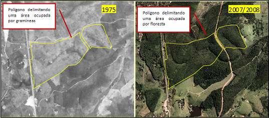 POTENCIAL DE REGENERAÇÃO NATURAL DE FLORESTAS NATIVAS NAS DIFERENTES REGIÕES DO ESTADO DO ESPÍRITO SANTO.