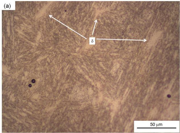Figura 2. Micrografia obtida por microscopia ótica. a) amostra 680, b) amostra 710. Ataque com Behara modificado. Através da micrografia da amostra 770, Fig.