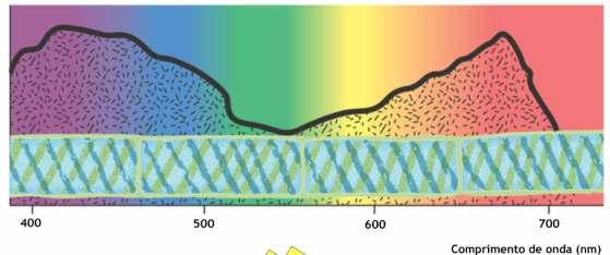 Fotossíntese: Será que todos os comprimentos de onda