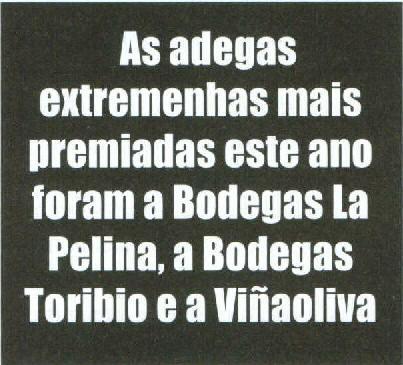 Miguel Córdoba salientou ainda que o vinho é a principal aposta da Extremadura, o que "está a impulsionar as exportações extremenhas, que representam já 9% do