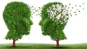 Alzheimer Condição neurodegenerativa caracterizada por deterioração de memória e de outras funções cognitivas Comprometimento progressivo das atividades