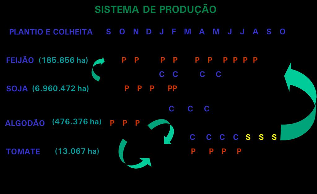 Porque se tornou uma praga tão importante?