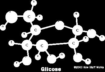 Hidratos de carbono, glicídios ou sacarídeos.