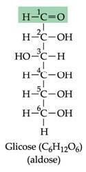 Monossacarídeos Carboidratos simples, solúveis em água C n H 2n O n (n entre 3 e 7) Nome