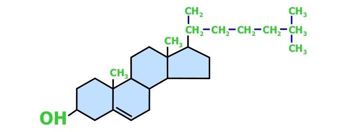 Esteroides Formados por ácidos graxos e alcoóis de cadeia