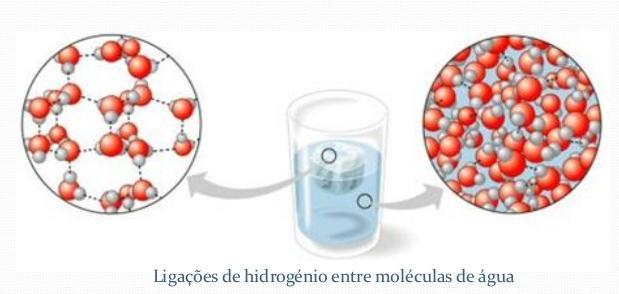 Estrutura Molecular da