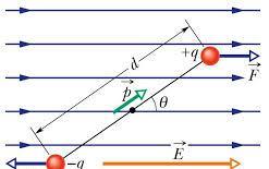 Comportamento de um dipolo em um campo elétrico uniforme Campo externo E campo externo uniforme mesmo módulo, direção e sentido As forças sobre as cargas +q e -q têm intensidades iguais F = qe