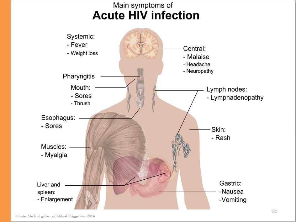 Anotações para Palestrante: Estima-se que 40-90% dos pacientes com infecção aguda pelo HIV experimentarão sintomas semelhantes aos da gripe que geralmente aparecem dias ou semanas após a exposição, e