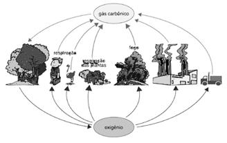 RESUMO Os ciclos biogeoquímicos são aqueles que relacionam elementos abióticos do meio ambiente, elementos químicos e os seres vivos.