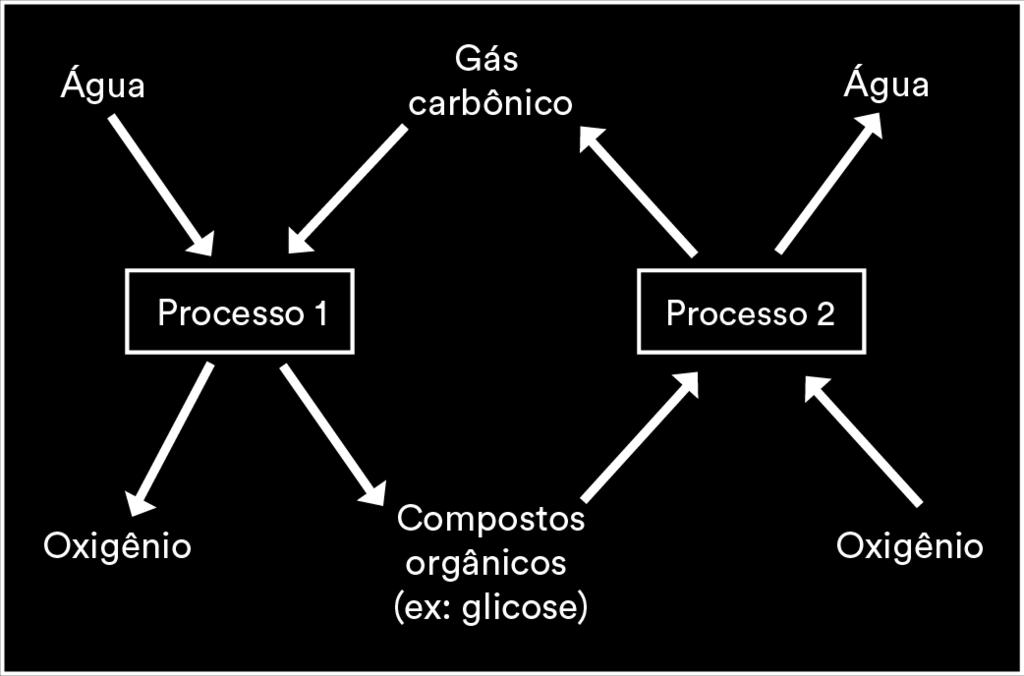 2. Considere o esquema abaixo que representa parte do ciclo do carbono nos ecossistemas: É correto afirmar que o processo: 3.