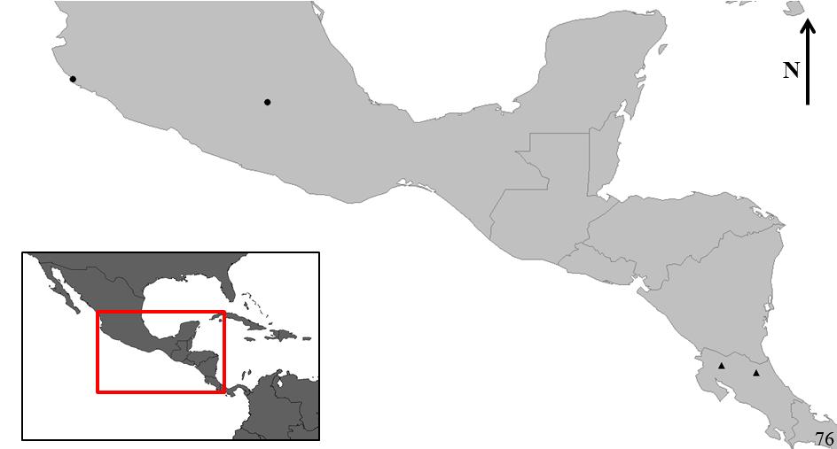 Figura 75: Mapa de registro do material examinado de Psenulus aztecus.