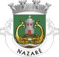 Município da Nazaré Serviços Municipalizados da Nazaré Proposta de Regulamento