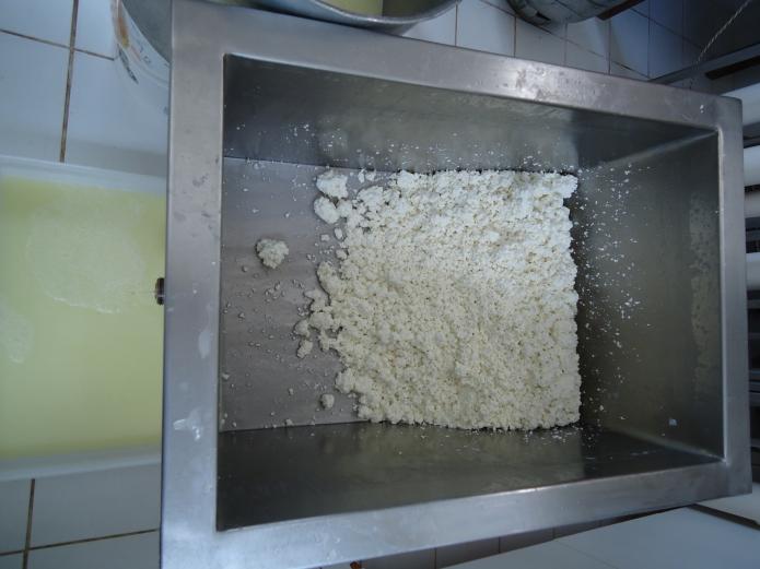 4 Processamento de queijo.