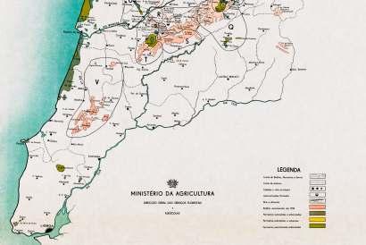 É uma capital pobre de parques e jardins e tem contudo condições naturais excelentes para o estabelecimento de parques desta espécie, pois que o escalvado agreste e monótono de algumas colinas que a