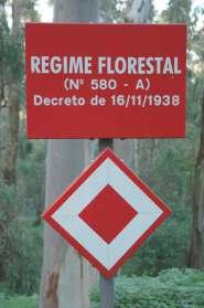 1934/38 O Parque Florestal de Monsanto no contexto do Plano de Povoamento Florestal Decreto de 24 de Dezembro de 1901 O regime florestal comprehendeo conjunto de disposições destinadas a assegurar