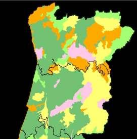 1996 Lei de Bases da Política Florestal Objetivos da política florestal: a) Promover e garantir um desenvolvimento sustentável dos espaços