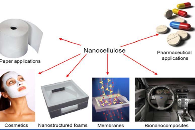 5. NOVAS PERSPECTIVAS PARA A BIOMASSA Biomateriais - Nanocelulose