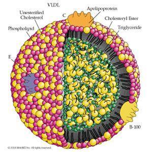 Lipoproteínas