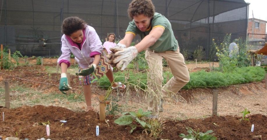 Viveiro Escola Educação Ambiental