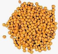 doenças (b-caroteno; licopeno) Reduzir alergias nos alimentos (glúten) Reduzir toxinas
