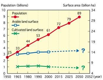 Área arável disponível Relação entre aumento da população mundial, área arável e área cultivável.