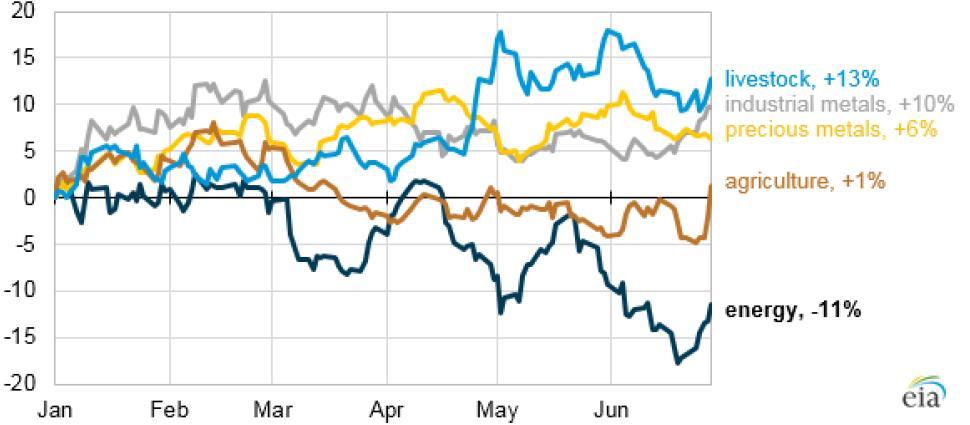 Commodities de energia tiveram queda no preço, enquanto outras commodities tiveram alta no primeiro semestre de 2017 Componentes do