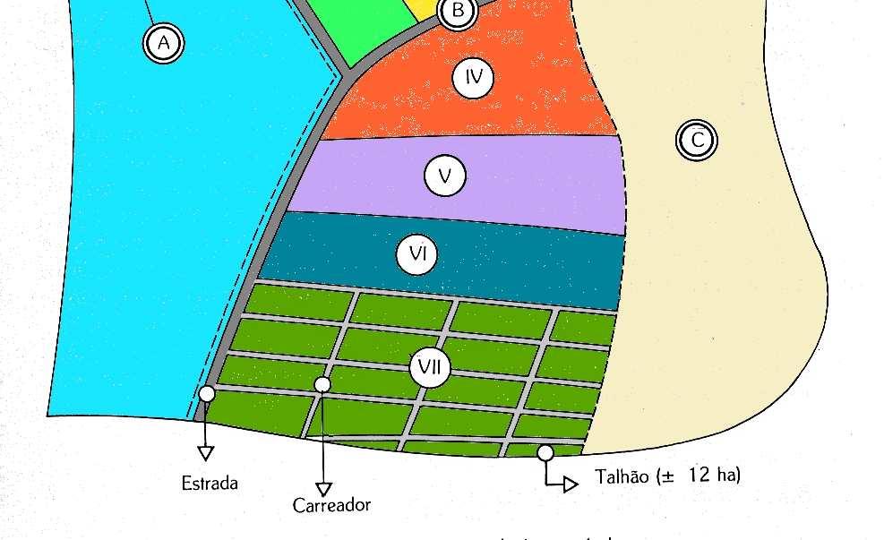 administrar e cultivar. 3.1.