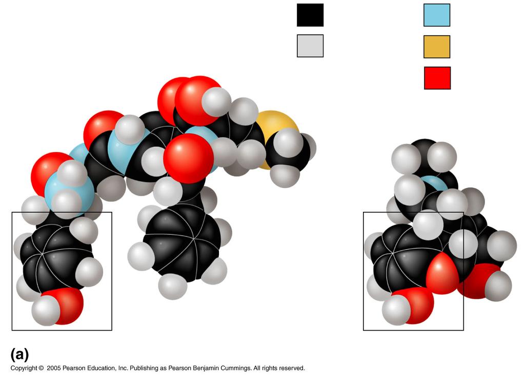A morfina tem forma semelhante à endorfina natural Endorfina natural Carbono Hidrogénio Morfina