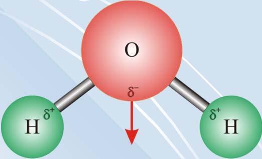 Exemplo da molécula de água: É formada por um O e dois H: é altamente polarinterage bem com outras