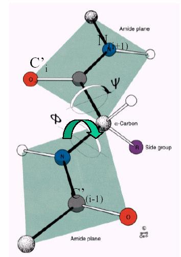 Isômeros Óticos Isômeros Óticos: exemplo Talidomida enantiômero : efeito tetragênico enantiômero S: efeito sedativo S Uma molécula quiral, é aquela que não é idêntica à sua imagem especular.