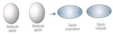 Interações dipolo instantâneo-dipolo induzido Considere uma molécula apolar. Ela possui uma nuvem de elétrons em contínuo movimento.