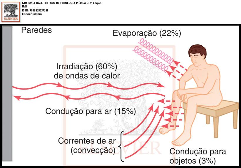 Mecanismos de perda