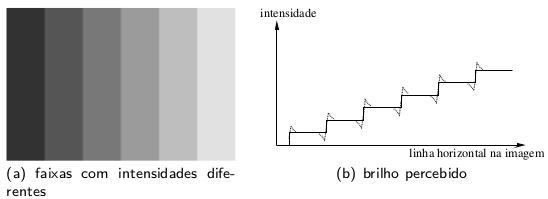 Brilho O brilho percebido pelo olho não corresponde a uma função linear da intensidade.