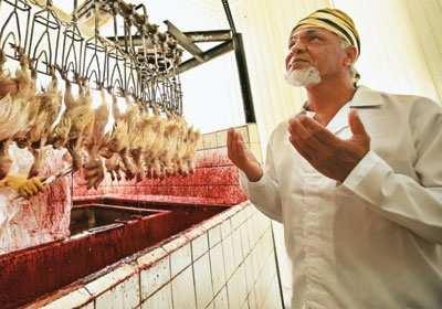Última atualização: Página 2 19/09/2013 No ano passado, 45,6% do total de 3,92 milhões de toneladas de frango exportadas pelo Brasil foram destinados a mercados que exigem o abate halal.