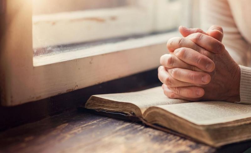 - A oração... - A leitura conduz à meditação e a meditação conduz à oração. Como o fruto da ruminação de uma vaca é o leite..., o fruto da meditação de uma pessoa é a oração.... - A oração é simples.