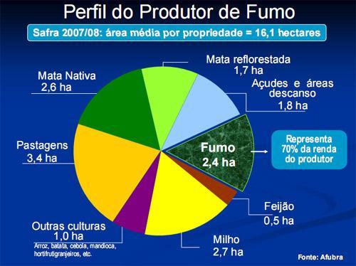 PERFIL DAS PROPRIEDADES DOS FUMICULTORES Não existe a monocultura na produção de tabacos no Brasil. Área média de 16 ha, aproximadamente 15% é utilizada para o fumo.
