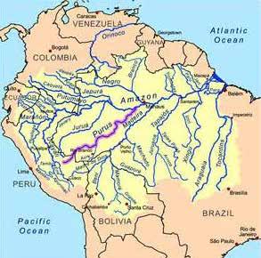 supriram dessas sementes. Essas lavouras começam a ser plantadas quando as chuvas começam a findar na Amazônia.