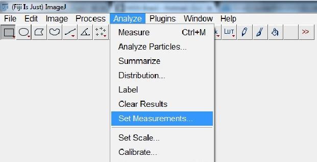 A quantificação das proporções selecionadas ocorre através da ferramenta Measure.