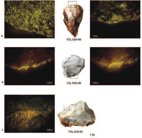 FIG. 5.3 Raspadeiras: vestígios de uso relativos à raspagem de matérias macias de origem animal (200x). Fotos macro de José Paulo Ruas.