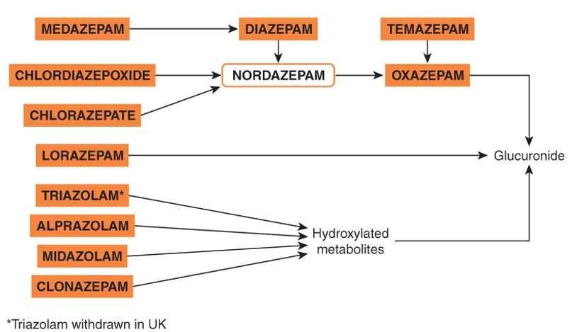 Metabolismo das benzodiazepinas Nordiazepam t1/2 > 40 horas