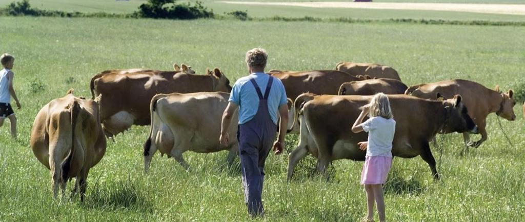 Conclusões Um trabalho ainda longo Etapas essenciais em 2019, 2021 e depois de 2021 Que devem ser antecipadas pelos Estados membro e organizações